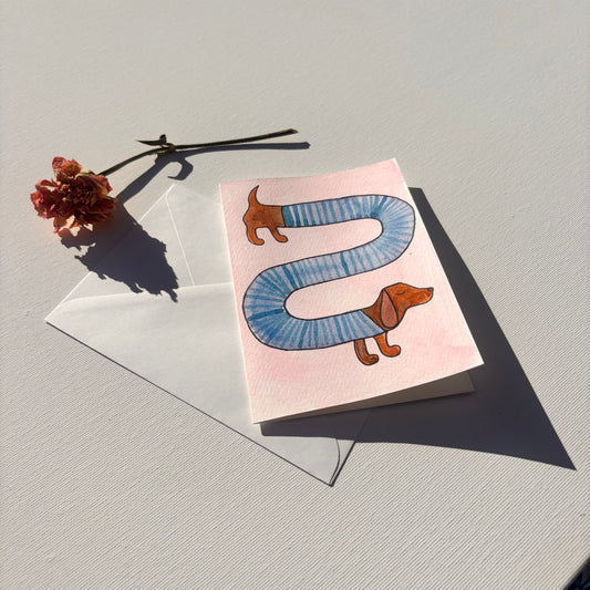 Random - Dackel mit Pulli