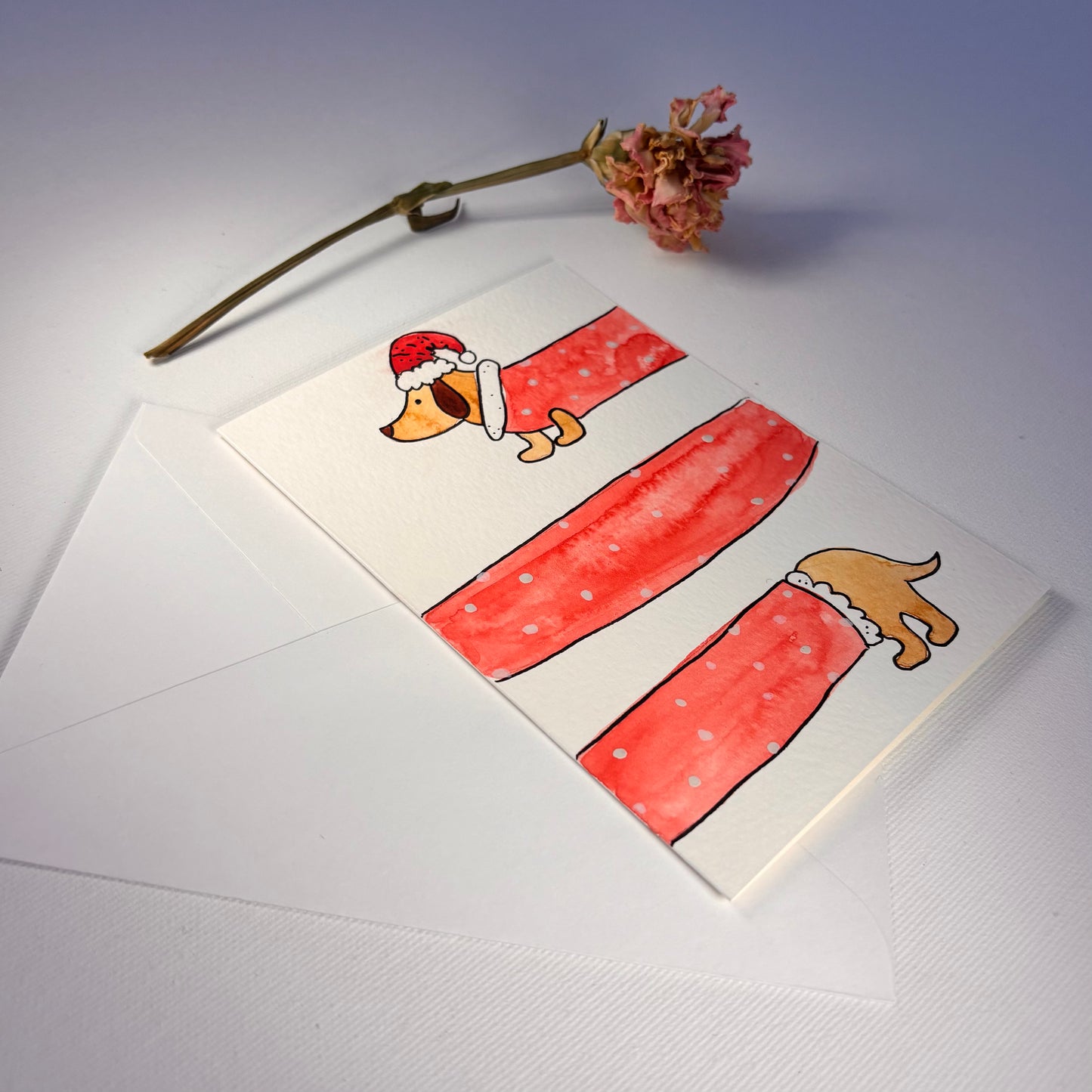 Weihnachten - Dackel mit Weihnachtsmannanzug