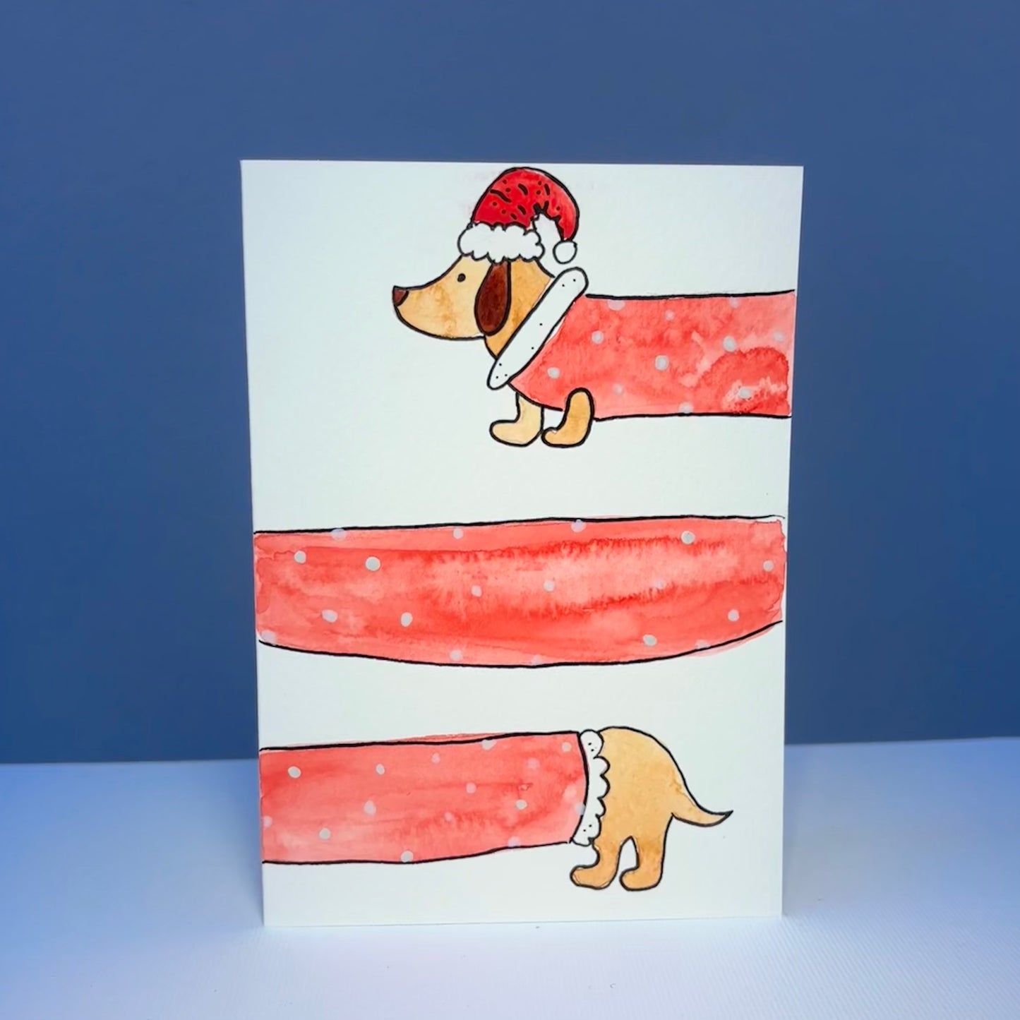 Weihnachten - Dackel mit Weihnachtsmannanzug