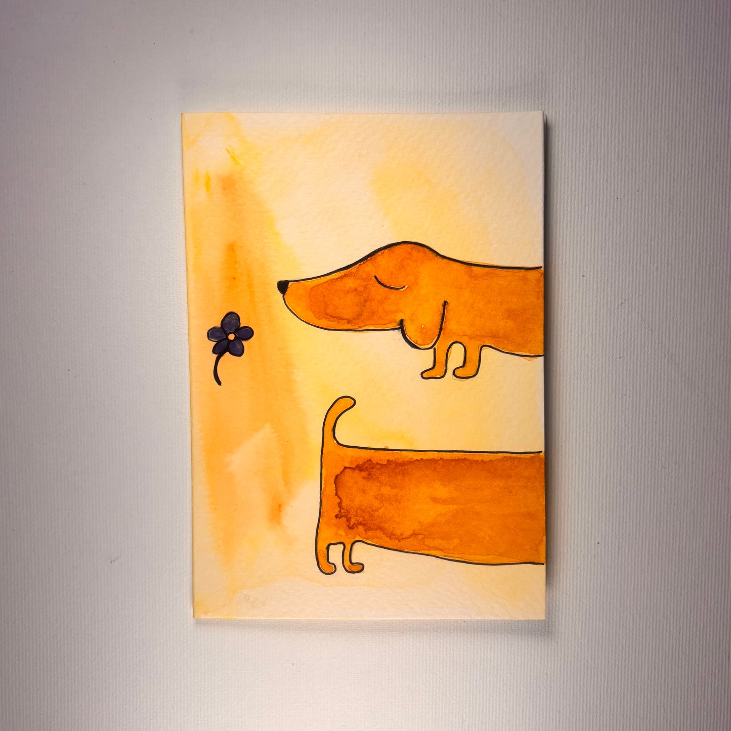 Random - Dackel mit Blume