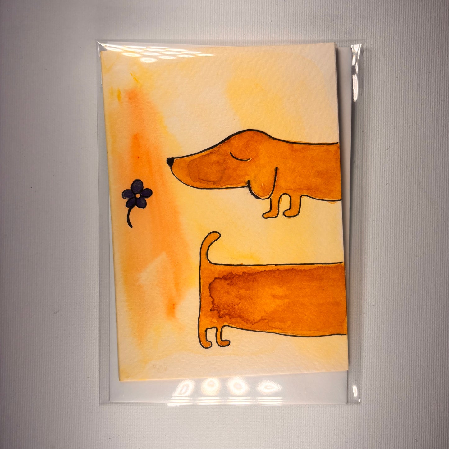 Random - Dackel mit Blume