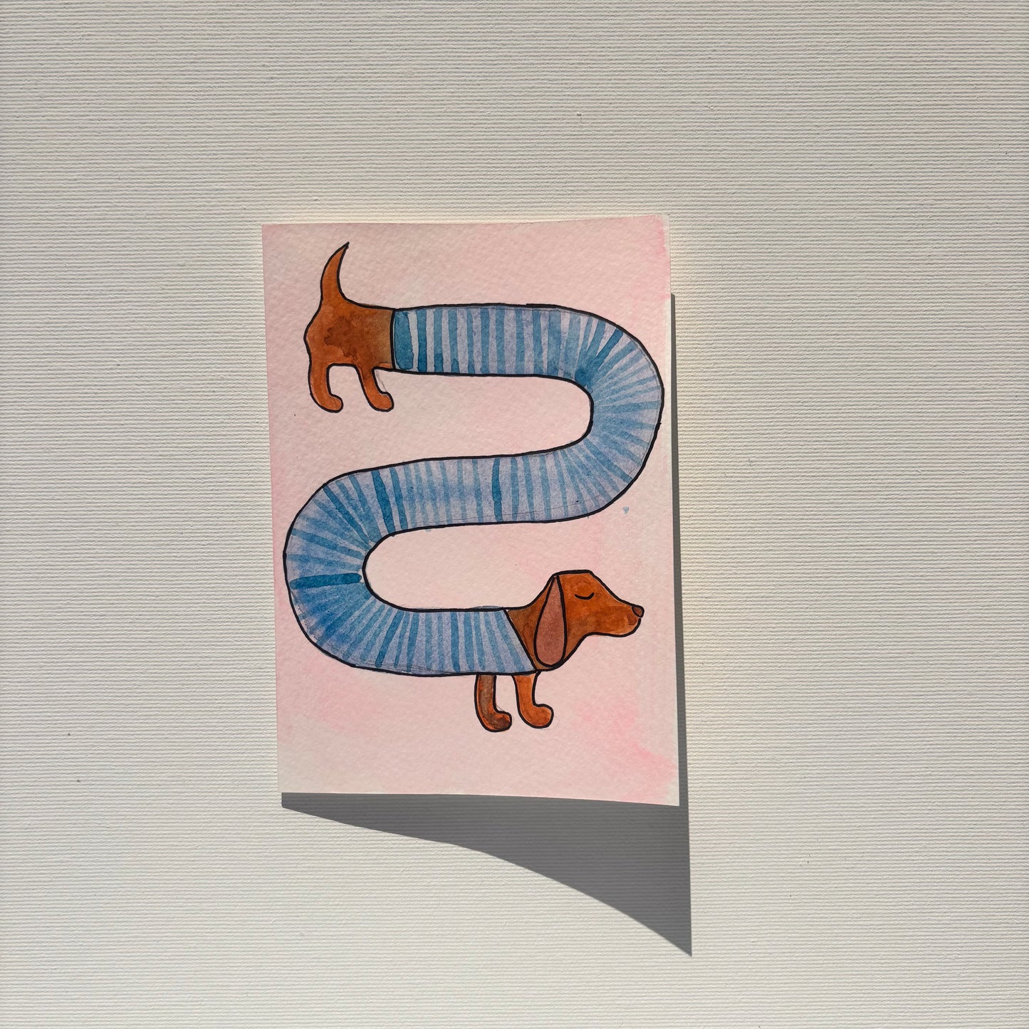 Random - Dackel mit Pulli