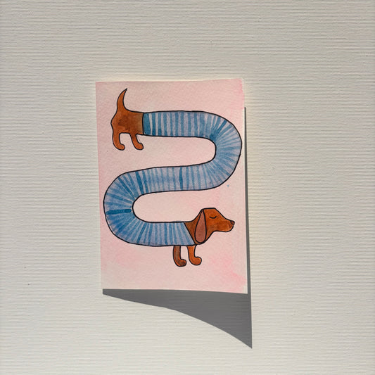 Random - Dackel mit Pulli