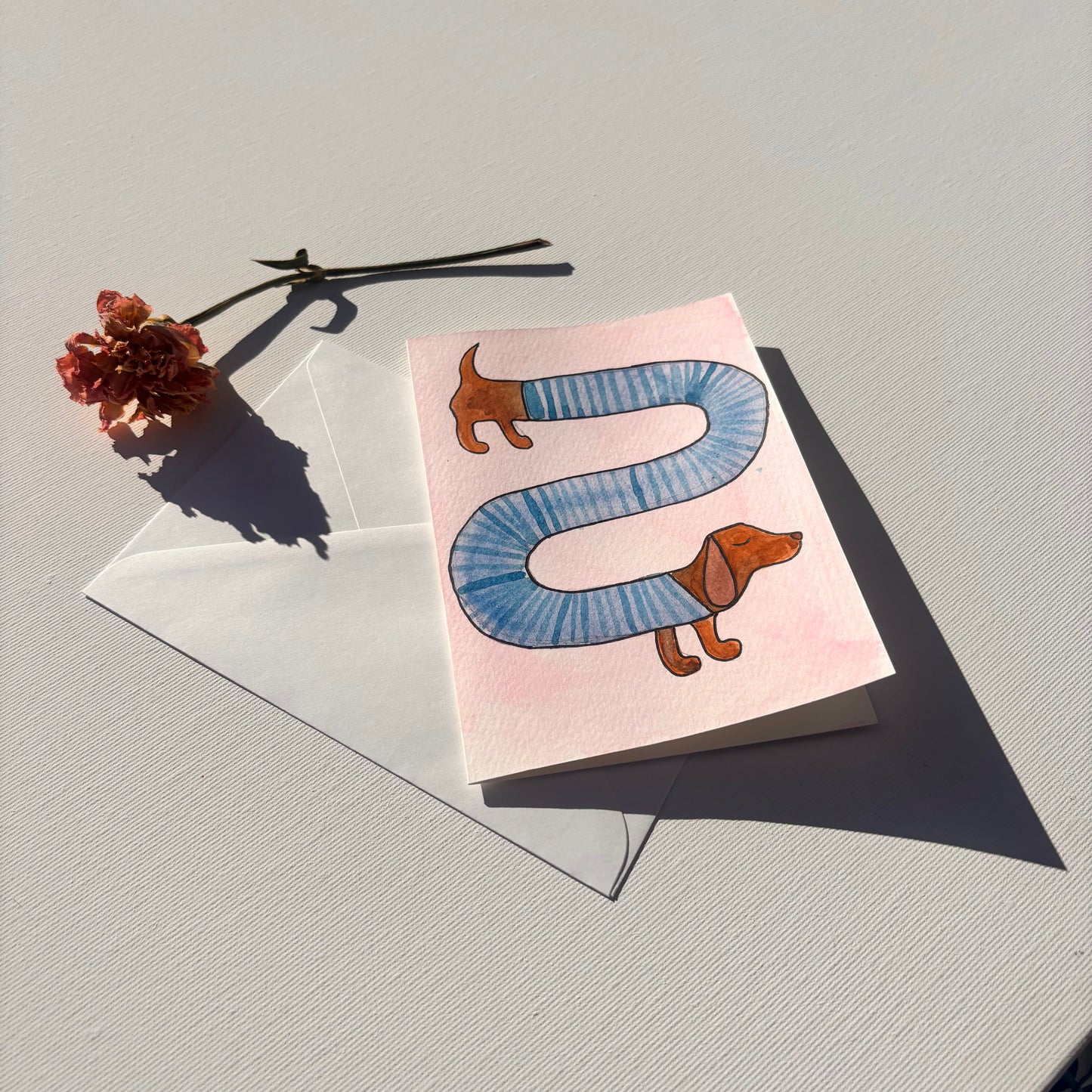 Random - Dackel mit Pulli