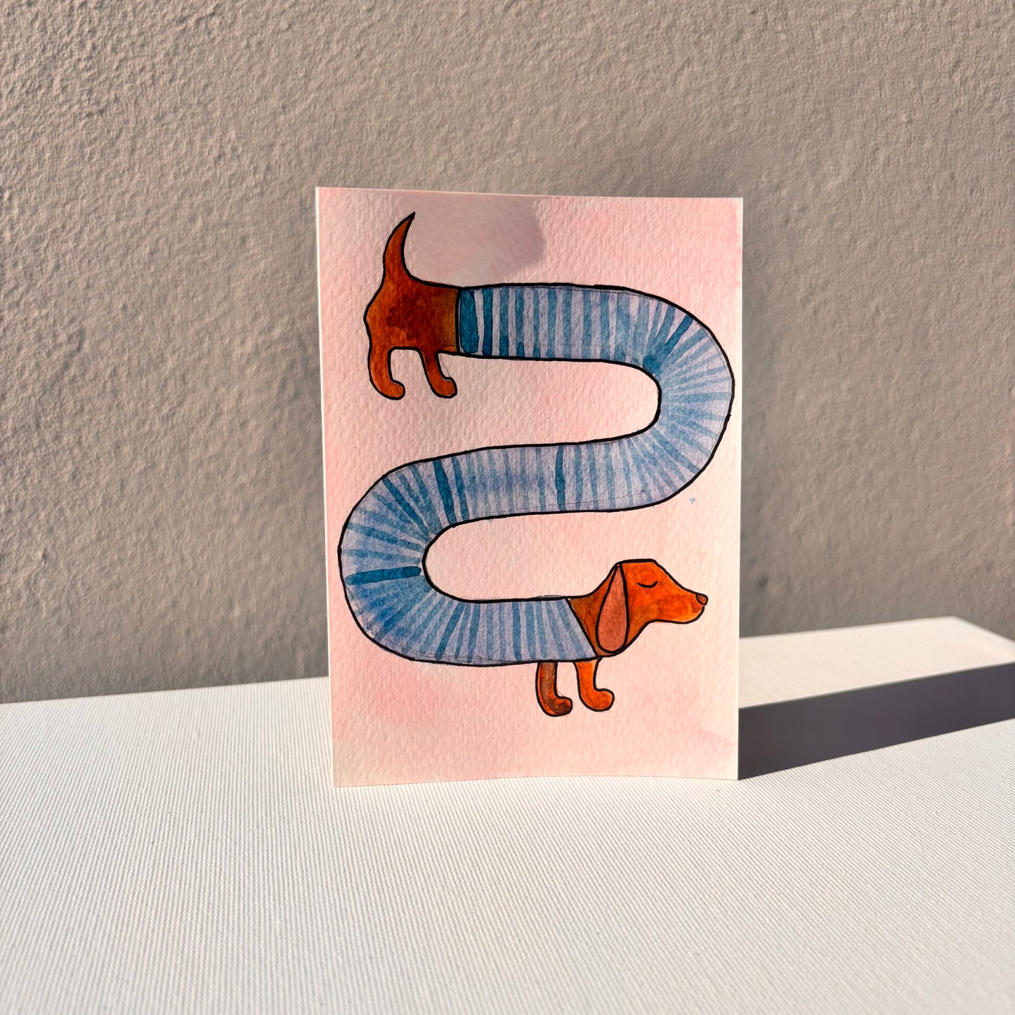 Random - Dackel mit Pulli