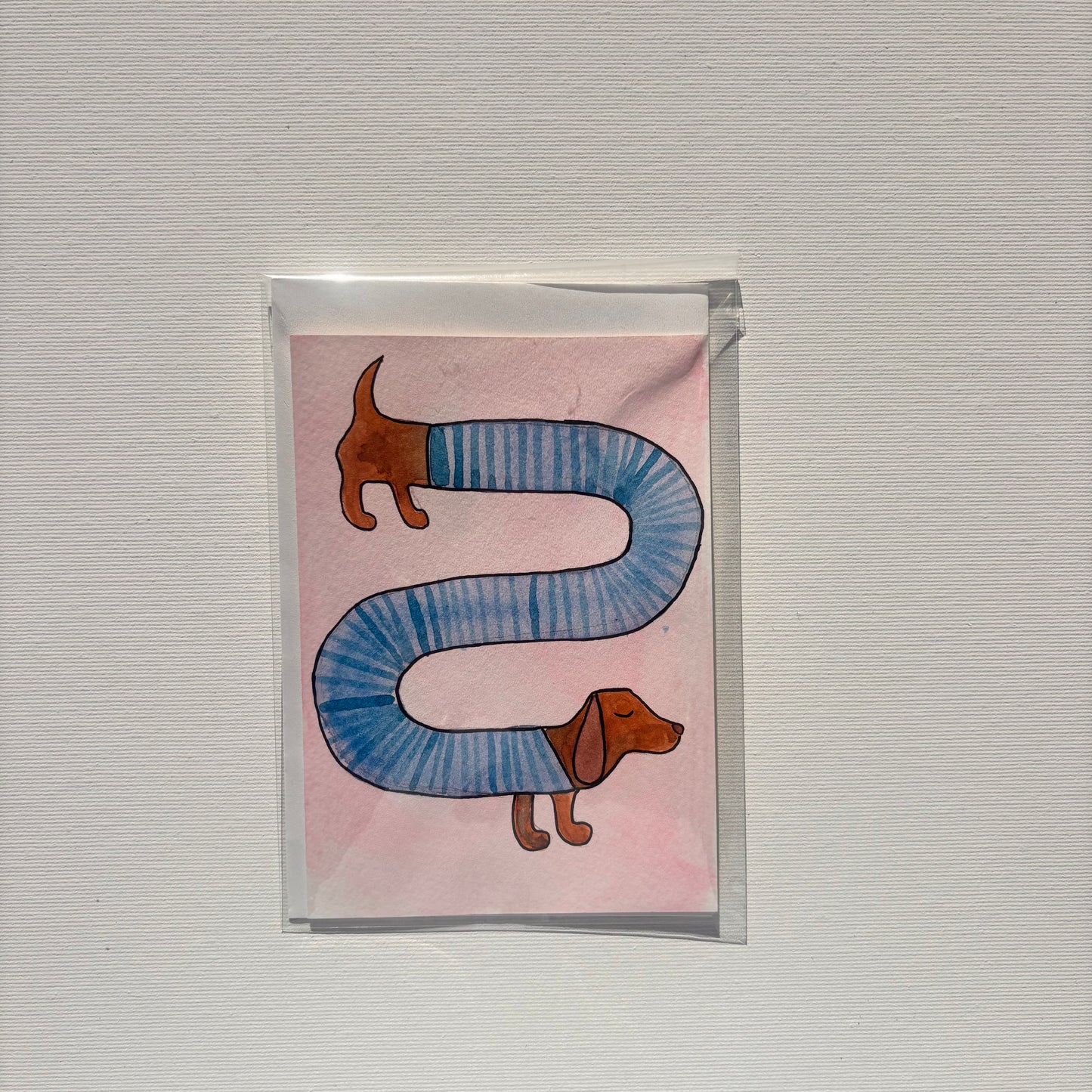 Random - Dackel mit Pulli