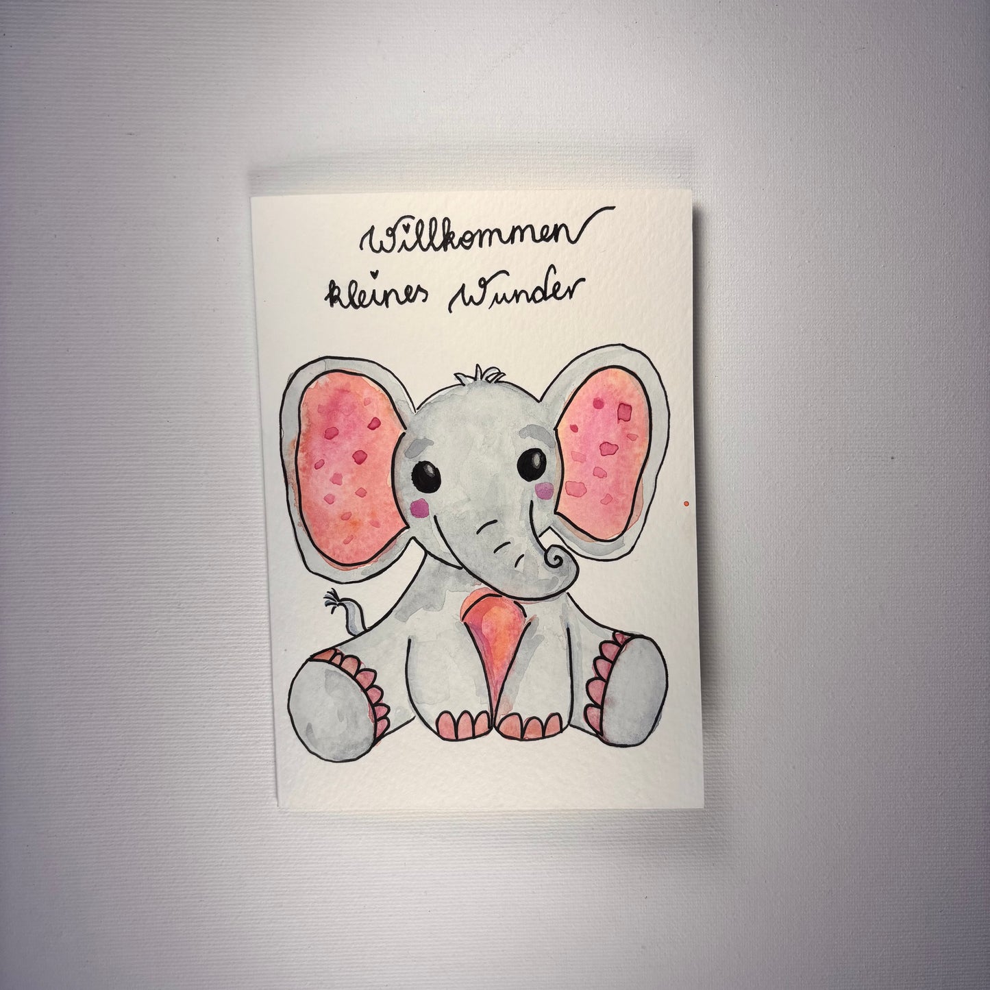 Birth - Hello little wonder elephant