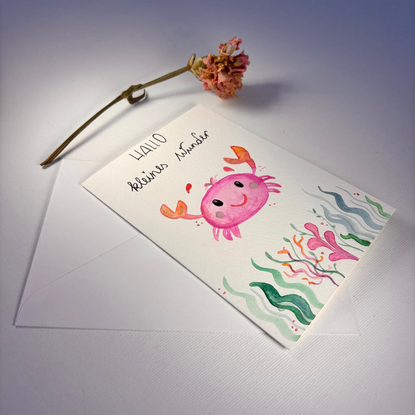 Birth - Hello little wonder crab